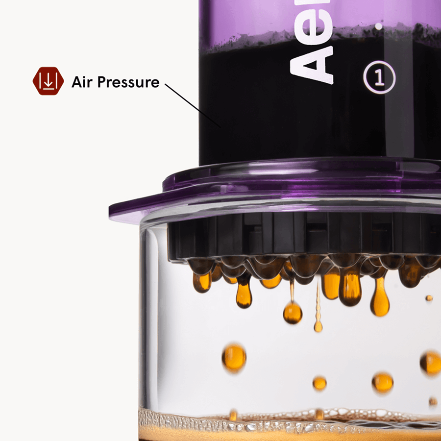 AP_ClearPurple_TravelBundle_PDP_ATF_5
